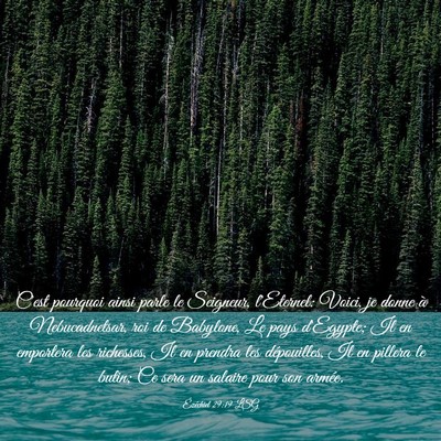 Picture 03 - Ézéchiel 29:19 LSG - C'est pourquoi ainsi parle le Seigneur, - Bible Verse Picture