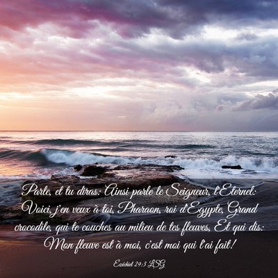 Picture 03 - Ézéchiel 29:3 LSG - Parle, et tu diras: Ainsi parle le Seigneur, - Bible Verse Picture