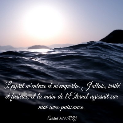 Picture 03 - Ézéchiel 3:14 LSG - L'esprit m'enleva et m'emporta. J'allais, irrité - Bible Verse Picture