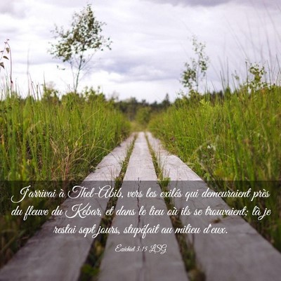 Picture 03 - Ézéchiel 3:15 LSG - J'arrivai à Thel-Abib, vers les exilés qui - Bible Verse Picture