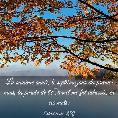 Picture 03 - Ézéchiel 30:20 LSG - La onzième année, le septième jour du premier - Bible Verse Picture