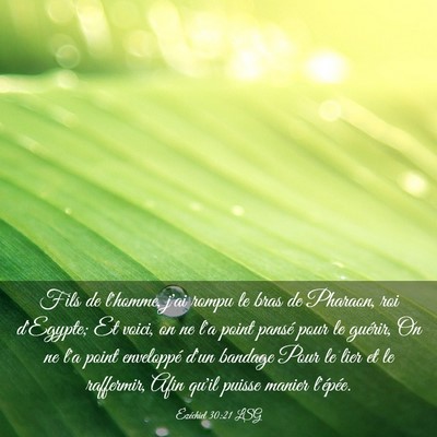 Picture 03 - Ézéchiel 30:21 LSG - Fils de l'homme, j'ai rompu le bras de Pharaon, - Bible Verse Picture