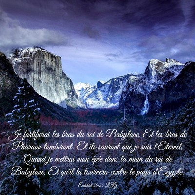 Picture 03 - Ézéchiel 30:25 LSG - Je fortifierai les bras du roi de Babylone, Et - Bible Verse Picture