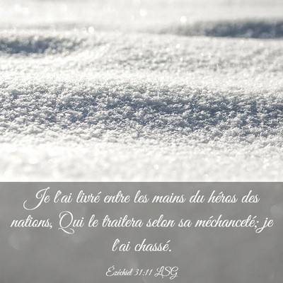 Picture 03 - Ézéchiel 31:11 LSG - Je l'ai livré entre les mains du héros des - Bible Verse Picture