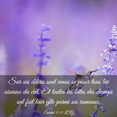 Picture 03 - Ézéchiel 31:13 LSG - Sur ses débris sont venus se poser tous les - Bible Verse Picture