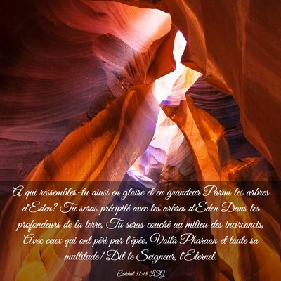 Picture 03 - Ézéchiel 31:18 LSG - A qui ressembles-tu ainsi en gloire et en - Bible Verse Picture