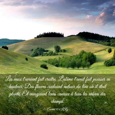 Picture 03 - Ézéchiel 31:4 LSG - Les eaux l'avaient fait croître, L'abîme - Bible Verse Picture
