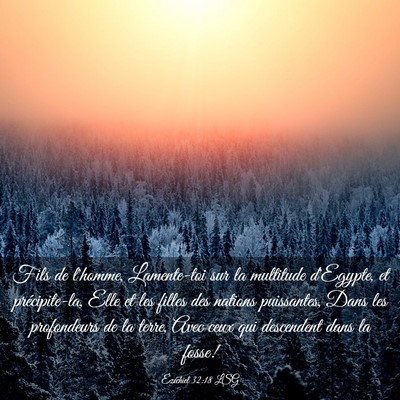 Picture 03 - Ézéchiel 32:18 LSG - Fils de l'homme, Lamente-toi sur la multitude - Bible Verse Picture