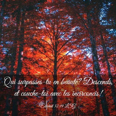 Picture 03 - Ézéchiel 32:19 LSG - Qui surpasses-tu en beauté? Descends, et - Bible Verse Picture