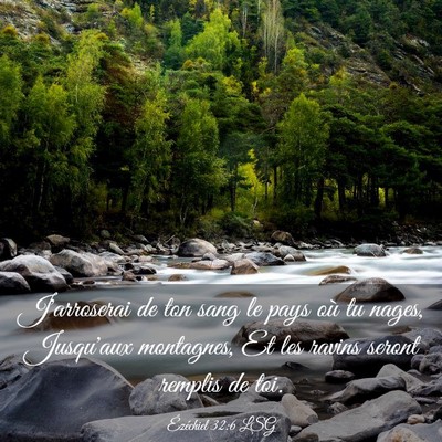 Picture 03 - Ézéchiel 32:6 LSG - J'arroserai de ton sang le pays où tu nages, - Bible Verse Picture