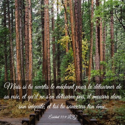 Picture 03 - Ézéchiel 33:9 LSG - Mais si tu avertis le méchant pour le détourner - Bible Verse Picture