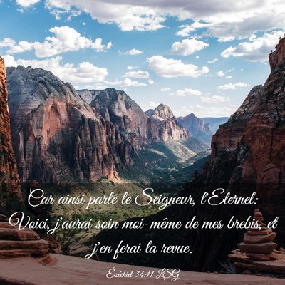 Picture 03 - Ézéchiel 34:11 LSG - Car ainsi parle le Seigneur, l'Eternel: Voici, - Bible Verse Picture