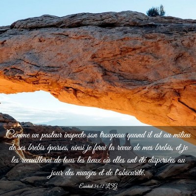 Picture 03 - Ézéchiel 34:12 LSG - Comme un pasteur inspecte son troupeau quand il - Bible Verse Picture