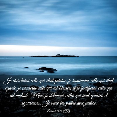 Picture 03 - Ézéchiel 34:16 LSG - Je chercherai celle qui était perdue, je - Bible Verse Picture