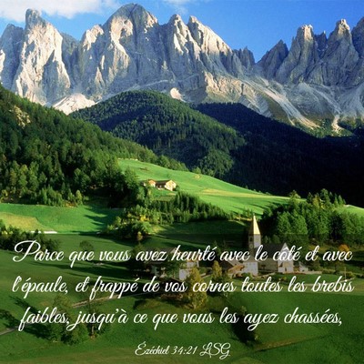 Picture 03 - Ézéchiel 34:21 LSG - Parce que vous avez heurté avec le côté et - Bible Verse Picture