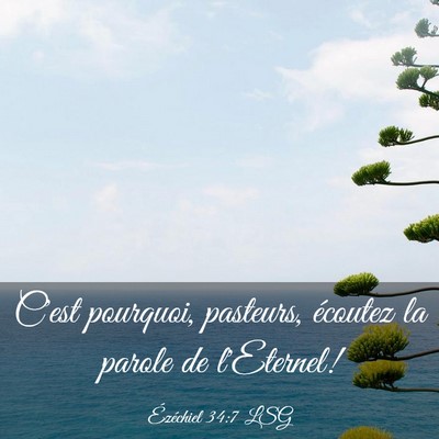 Picture 03 - Ézéchiel 34:7 LSG - C'est pourquoi, pasteurs, écoutez la parole de - Bible Verse Picture