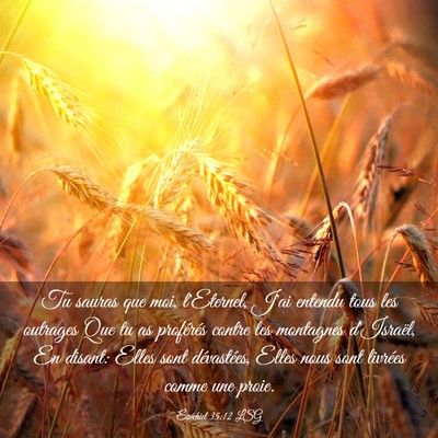 Picture 03 - Ézéchiel 35:12 LSG - Tu sauras que moi, l'Eternel, J'ai entendu tous - Bible Verse Picture