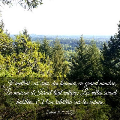 Picture 03 - Ézéchiel 36:10 LSG - Je mettrai sur vous des hommes en grand nombre, - Bible Verse Picture