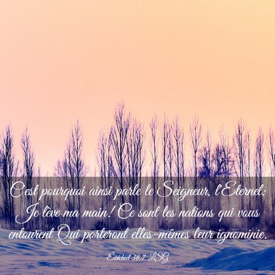 Picture 03 - Ézéchiel 36:7 LSG - C'est pourquoi ainsi parle le Seigneur, - Bible Verse Picture