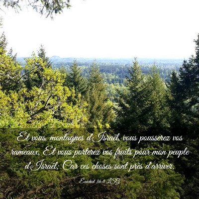 Picture 03 - Ézéchiel 36:8 LSG - Et vous, montagnes d'Israël, vous pousserez vos - Bible Verse Picture