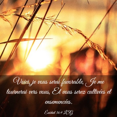 Picture 03 - Ézéchiel 36:9 LSG - Voici, je vous serai favorable, Je me tournerai - Bible Verse Picture