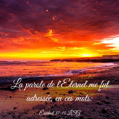 Picture 03 - Ézéchiel 37:15 LSG - La parole de l'Eternel me fut adressée, en ces - Bible Verse Picture