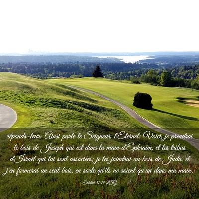 Picture 03 - Ézéchiel 37:19 LSG - réponds-leur: Ainsi parle le Seigneur, - Bible Verse Picture