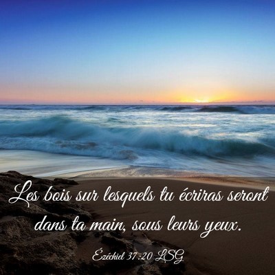 Picture 03 - Ézéchiel 37:20 LSG - Les bois sur lesquels tu écriras seront dans ta - Bible Verse Picture
