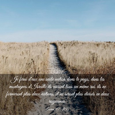 Picture 03 - Ézéchiel 37:22 LSG - Je ferai d'eux une seule nation dans le pays, - Bible Verse Picture