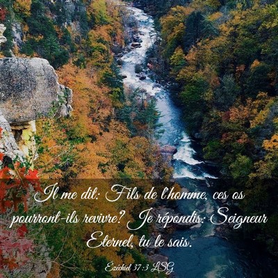 Picture 03 - Ézéchiel 37:3 LSG - Il me dit: Fils de l'homme, ces os pourront-ils - Bible Verse Picture