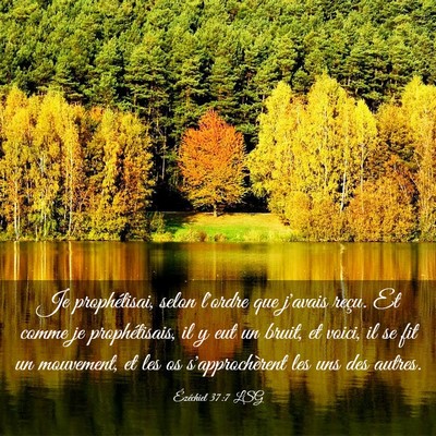 Picture 03 - Ézéchiel 37:7 LSG - Je prophétisai, selon l'ordre que j'avais reçu. - Bible Verse Picture