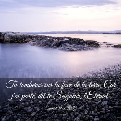 Picture 03 - Ézéchiel 39:5 LSG - Tu tomberas sur la face de la terre, Car j'ai - Bible Verse Picture