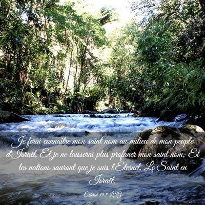 Picture 03 - Ézéchiel 39:7 LSG - Je ferai connaître mon saint nom au milieu de - Bible Verse Picture