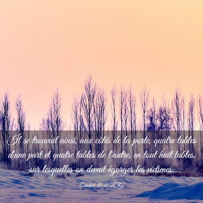 Picture 03 - Ézéchiel 40:41 LSG - Il se trouvait ainsi, aux côtés de la porte, - Bible Verse Picture