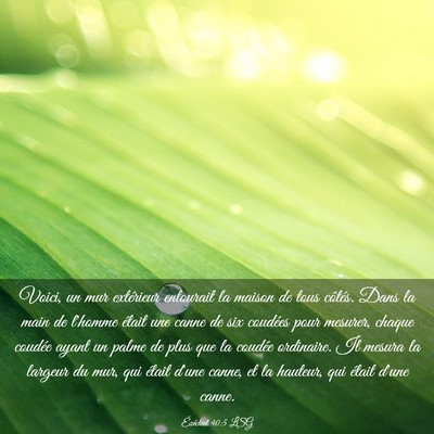 Picture 03 - Ézéchiel 40:5 LSG - Voici, un mur extérieur entourait la maison de - Bible Verse Picture