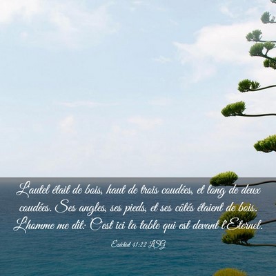 Picture 03 - Ézéchiel 41:22 LSG - L'autel était de bois, haut de trois coudées, - Bible Verse Picture