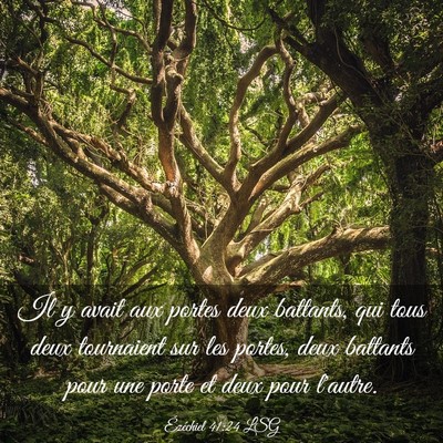 Picture 03 - Ézéchiel 41:24 LSG - Il y avait aux portes deux battants, qui tous - Bible Verse Picture
