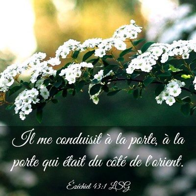 Picture 03 - Ézéchiel 43:1 LSG - Il me conduisit à la porte, à la porte qui - Bible Verse Picture