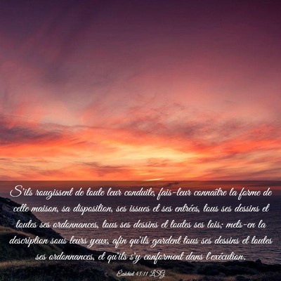 Picture 03 - Ézéchiel 43:11 LSG - S'ils rougissent de toute leur conduite, - Bible Verse Picture