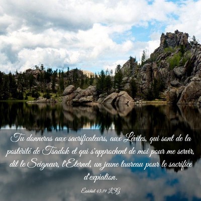 Picture 03 - Ézéchiel 43:19 LSG - Tu donneras aux sacrificateurs, aux Lévites, qui - Bible Verse Picture