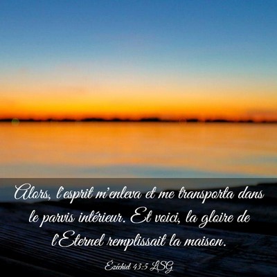 Picture 03 - Ézéchiel 43:5 LSG - Alors, l'esprit m'enleva et me transporta dans le - Bible Verse Picture