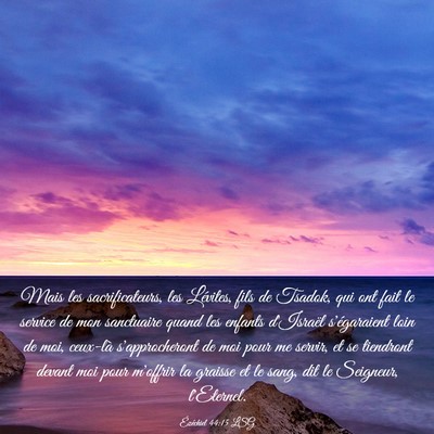 Picture 03 - Ézéchiel 44:15 LSG - Mais les sacrificateurs, les Lévites, fils de - Bible Verse Picture