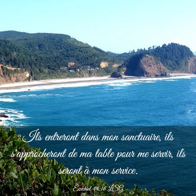 Picture 03 - Ézéchiel 44:16 LSG - Ils entreront dans mon sanctuaire, ils - Bible Verse Picture