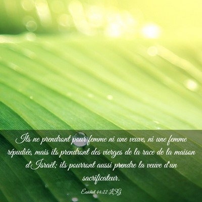 Picture 03 - Ézéchiel 44:22 LSG - Ils ne prendront pour femme ni une veuve, ni une - Bible Verse Picture