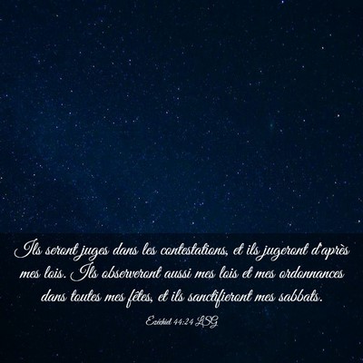 Picture 03 - Ézéchiel 44:24 LSG - Ils seront juges dans les contestations, et ils - Bible Verse Picture