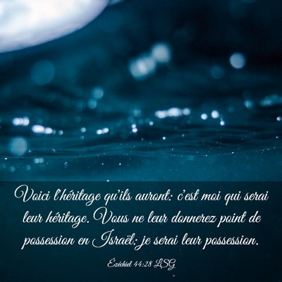Picture 03 - Ézéchiel 44:28 LSG - Voici l'héritage qu'ils auront: c'est moi qui - Bible Verse Picture