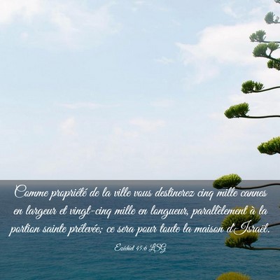 Picture 03 - Ézéchiel 45:6 LSG - Comme propriété de la ville vous destinerez - Bible Verse Picture