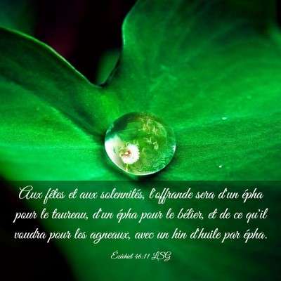 Picture 03 - Ézéchiel 46:11 LSG - Aux fêtes et aux solennités, l'offrande sera - Bible Verse Picture