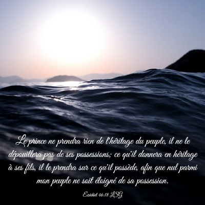 Picture 03 - Ézéchiel 46:18 LSG - Le prince ne prendra rien de l'héritage du - Bible Verse Picture