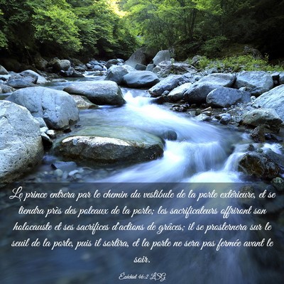 Picture 03 - Ézéchiel 46:2 LSG - Le prince entrera par le chemin du vestibule de - Bible Verse Picture